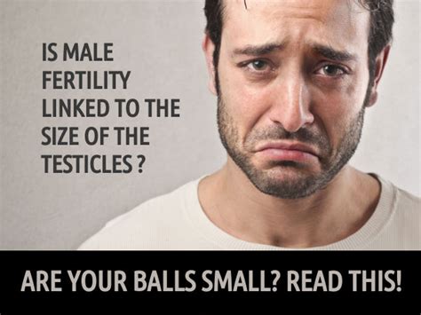 how hard should testes be|how big are testicles every year.